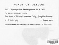 Passalora heterosporella image